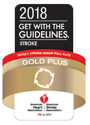 Desert Springs Stroke Gold Plus Target Stroke Honor Roll Elite 2018